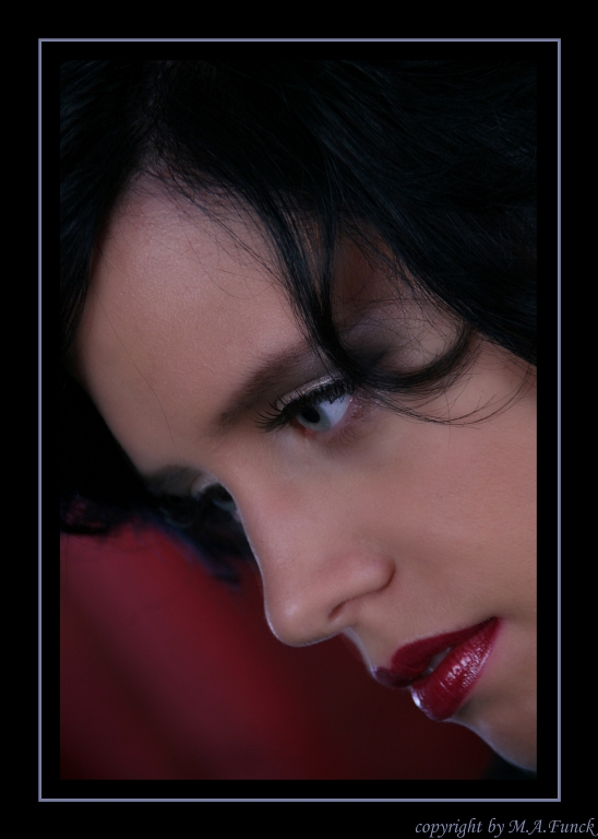 VAMP 0050 fertig maf