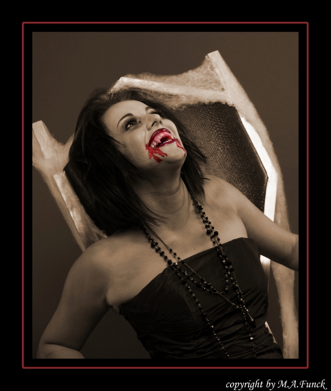 VAMP 0168 fertig maf
