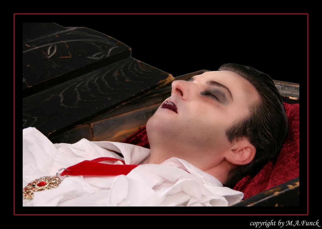 VAMP 0218 fertig maf
